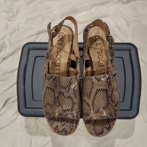 Sole Society Women's Brown Snake Print Sandals